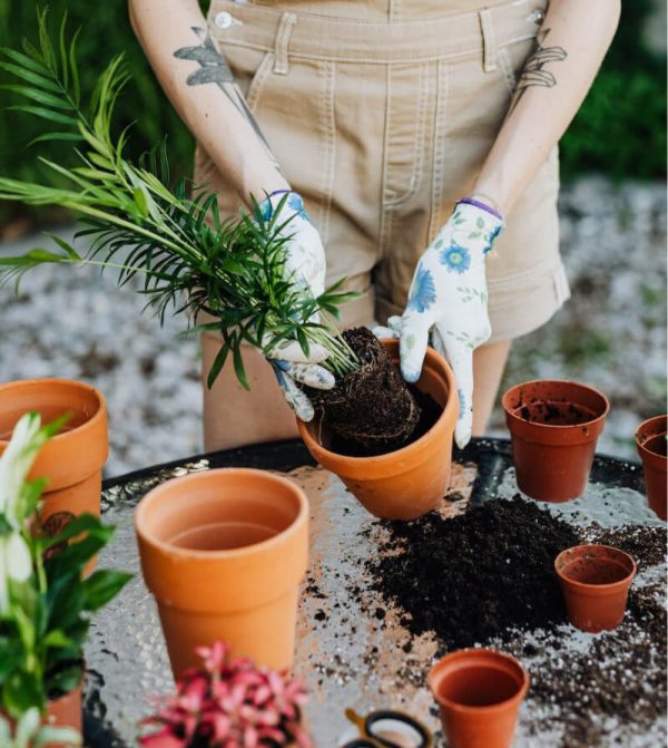 Ceramic Garden Pots - Imagem 2